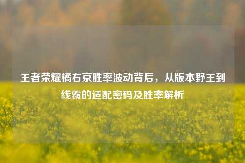 王者荣耀橘右京胜率波动背后，从版本野王到线霸的适配密码及胜率解析