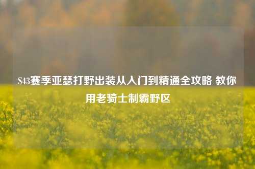 S43赛季亚瑟打野出装从入门到精通全攻略 教你用老骑士制霸野区