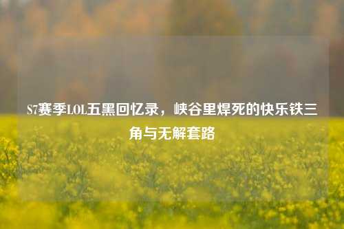 S7赛季LOL五黑回忆录，峡谷里焊死的快乐铁三角与无解套路