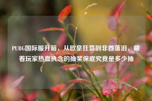 PUBG国际服开箱,从欧皇狂喜到非酋落泪,藏着玩家热血执念的抽奖保底究竟是多少抽