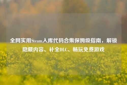 全网实用Steam入库代码合集保姆级指南，解锁隐藏内容、补全DLC、畅玩免费游戏