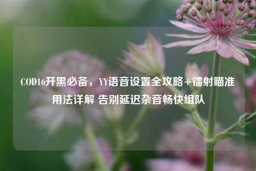 COD16开黑必备,YY语音设置全攻略+镭射瞄准用法详解 告别延迟杂音畅快组队