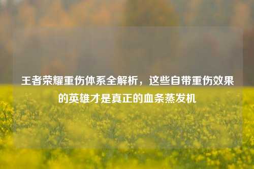 王者荣耀重伤体系全解析,这些自带重伤效果的英雄才是真正的血条蒸发机