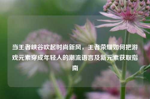 当王者峡谷吹起时尚新风,王者荣耀如何把游戏元素穿成年轻人的潮流语言及新元素获取指南