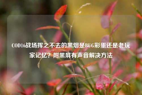 COD16战场挥之不去的黑烟是BUG彩蛋还是老玩家记忆?附黑屏有声音解决方法