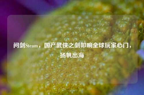 问剑Steam,国产武侠之剑叩响全球玩家心门,扬帆出海