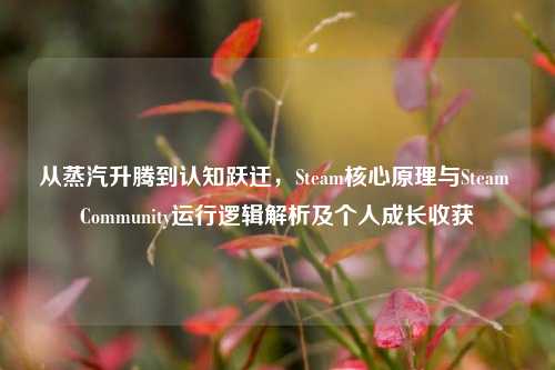 从蒸汽升腾到认知跃迁，Steam核心原理与Steam Community运行逻辑解析及个人成长收获