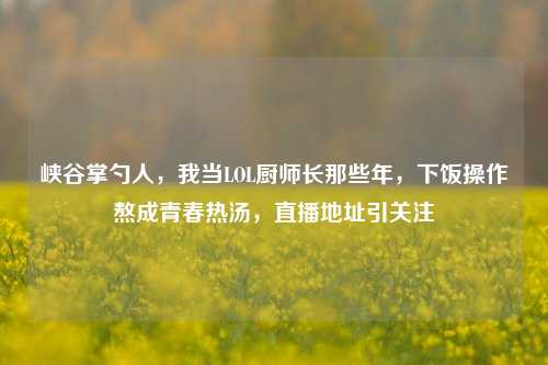 峡谷掌勺人，我当LOL厨师长那些年，下饭操作熬成青春热汤，直播地址引关注
