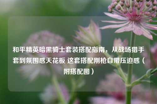 和平精英暗黑骑士套装搭配指南,从战场猎手套到氛围感天花板 这套搭配刚枪自带压迫感(附搭配图)