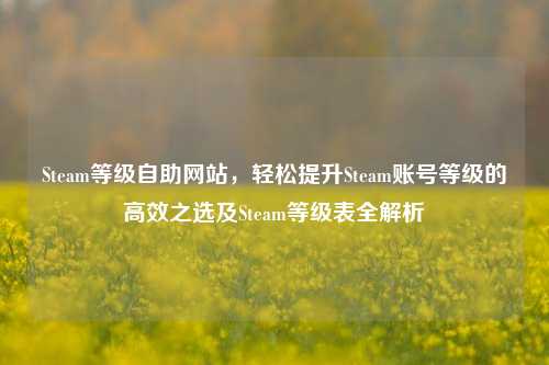 Steam等级自助网站,轻松提升Steam账号等级的高效之选及Steam等级表全解析