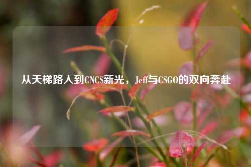 从天梯路人到CNCS新光,Jeff与CSGO的双向奔赴