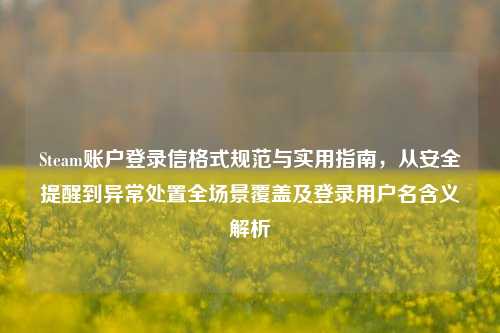 Steam账户登录信格式规范与实用指南,从安全提醒到异常处置全场景覆盖及登录用户名含义解析