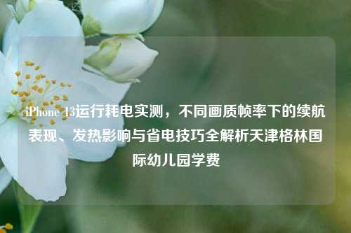 iPhone 13运行耗电实测,不同画质帧率下的续航表现、发热影响与省电技巧全解析天津格林国际幼儿园学费