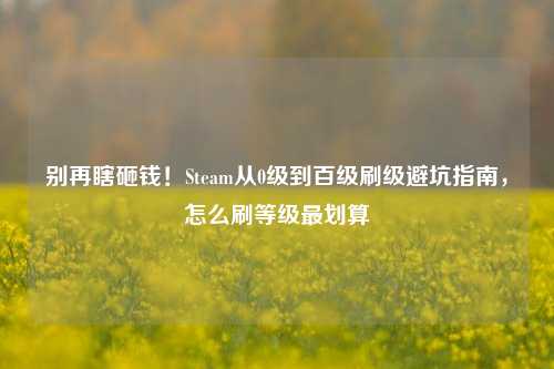 别再瞎砸钱!Steam从0级到百级刷级避坑指南,怎么刷等级最划算