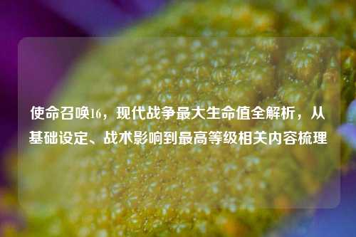 使命召唤16,现代战争最大生命值全解析,从基础设定、战术影响到最高等级相关内容梳理