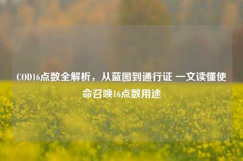 COD16点数全解析,从蓝图到通行证 一文读懂使命召唤16点数用途