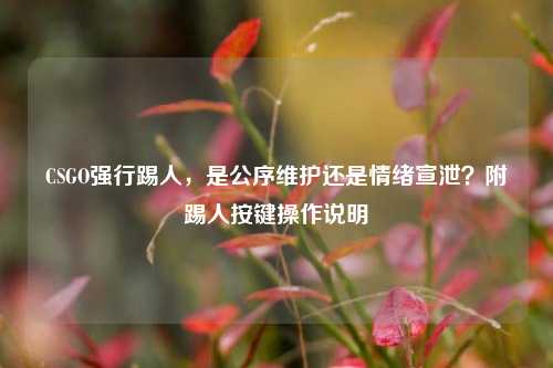 CSGO强行踢人，是公序维护还是情绪宣泄？附踢人按键操作说明