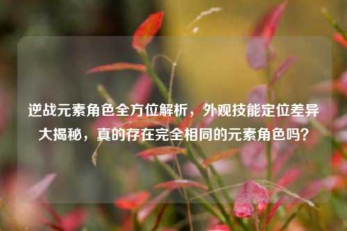 逆战元素角色全方位解析,外观技能定位差异大揭秘,真的存在完全相同的元素角色吗?
