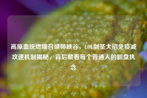 高原血统燃爆召唤师峡谷,LOL剑圣大招免疫减攻速机制揭秘,背后藏着每个普通人的翻盘执念