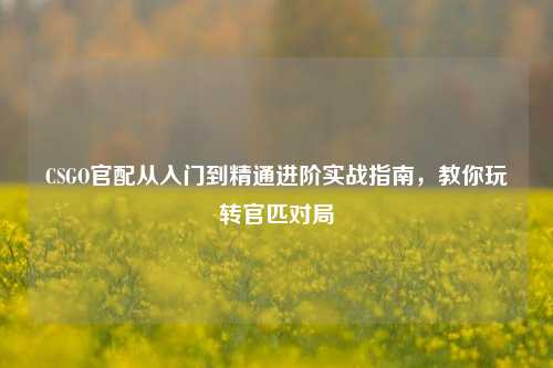 CSGO官配从入门到精通进阶实战指南，教你玩转官匹对局