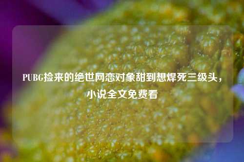 PUBG捡来的绝世网恋对象甜到想焊死三级头，小说全文免费看