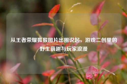 从王者荣耀狐猴图片出圈说起,游戏二创里的野生萌趣与玩家浪漫