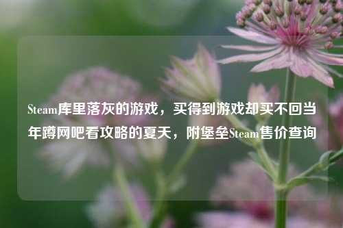 Steam库里落灰的游戏,买得到游戏却买不回当年蹲网吧看攻略的夏天,附堡垒Steam售价查询