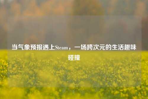 当气象预报遇上Steam,一场跨次元的生活趣味碰撞