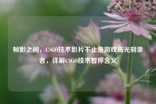 帧影之间,CSGO技术影片不止是游戏高光刻录者,详解CSGO技术暂停含义