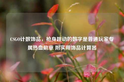 CSGO计数饰品，枪身跳动的数字是普通玩家专属热血勋章 附实用饰品计算器