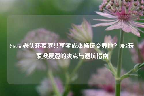 Steam老头环家庭共享零成本畅玩交界地?90%玩家没摸透的爽点与避坑指南