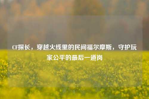 CF探长,穿越火线里的民间福尔摩斯,守护玩家公平的最后一道岗