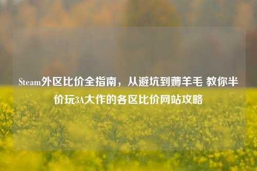 Steam外区比价全指南,从避坑到薅羊毛 教你半价玩3A大作的各区比价网站攻略