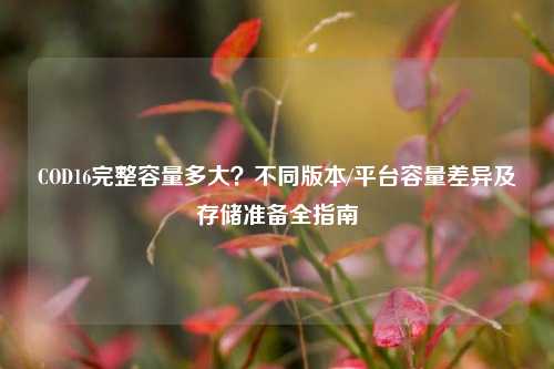 COD16完整容量多大?不同版本/平台容量差异及存储准备全指南
