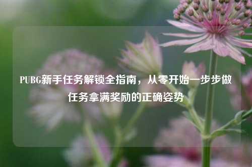 PUBG新手任务解锁全指南,从零开始一步步做任务拿满奖励的正确姿势