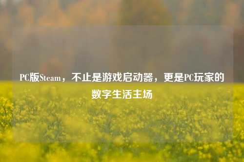 PC版Steam，不止是游戏启动器，更是PC玩家的数字生活主场