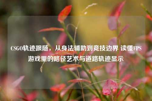 CSGO轨迹跟随，从身法辅助到竞技边界 读懂FPS游戏里的路径艺术与道路轨迹显示
