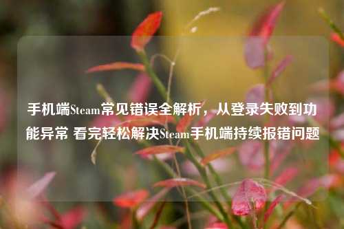 手机端Steam常见错误全解析,从登录失败到功能异常 看完轻松解决Steam手机端持续报错问题