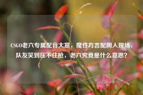 CSGO老六专属配音大赏，魔性方言配阴人现场，队友笑到压不住枪，老六究竟是什么意思？