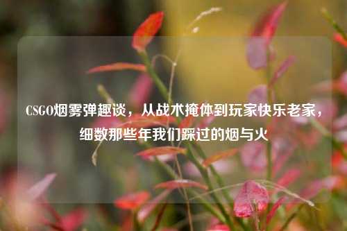 CSGO烟雾弹趣谈，从战术掩体到玩家快乐老家，细数那些年我们踩过的烟与火