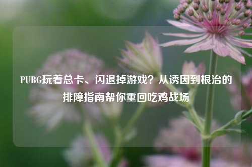 PUBG玩着总卡、闪退掉游戏?从诱因到根治的排障指南帮你重回吃鸡战场