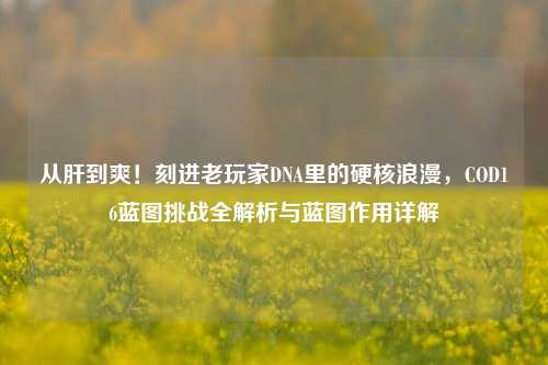 从肝到爽！刻进老玩家DNA里的硬核浪漫，COD16蓝图挑战全解析与蓝图作用详解