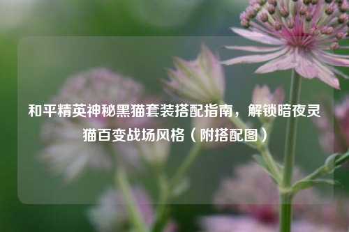 和平精英神秘黑猫套装搭配指南，解锁暗夜灵猫百变战场风格（附搭配图）