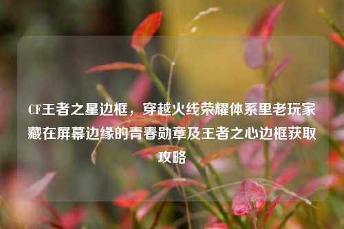 CF王者之星边框,穿越火线荣耀体系里老玩家藏在屏幕边缘的青春勋章及王者之心边框获取攻略