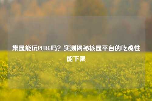集显能玩PUBG吗?实测揭秘核显平台的吃鸡性能下限