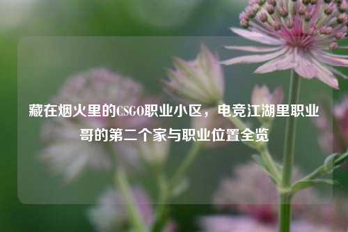 藏在烟火里的CSGO职业小区,电竞江湖里职业哥的第二个家与职业位置全览