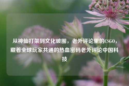 从神仙打架到文化破圈,老外评论里的CSGO,藏着全球玩家共通的热血密码老外评论中国科技