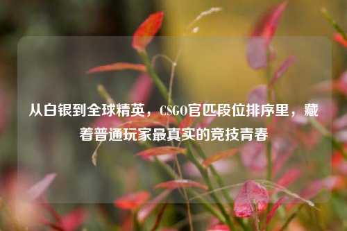 从白银到全球精英，CSGO官匹段位排序里，藏着普通玩家最真实的竞技青春