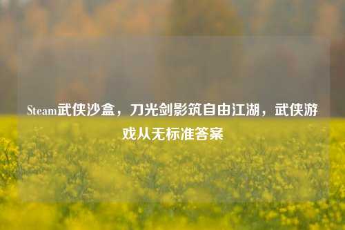Steam武侠沙盒,刀光剑影筑自由江湖,武侠游戏从无标准答案