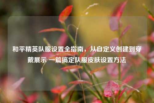 和平精英队服设置全指南,从自定义创建到穿戴展示 一篇搞定队服皮肤设置方法